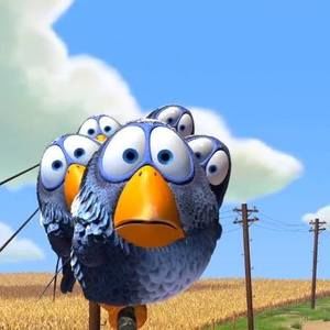 Meet your Posher, Aaron